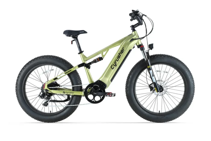 CyrusherRoverE-Bike-vert-Main.webp