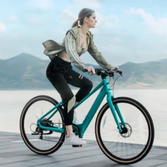 Fiido C22 - Gravel Vélo électrique Léger – Image 6