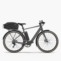 Fiido C21 - Gravel Vélo électrique Léger - Image 4