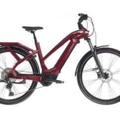 VTC Électrique Bianchi E-Omnia T-Type Step-Through 625Wh – Image 3