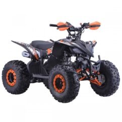 Quad enfant 125cc PROBIKE - Image 10