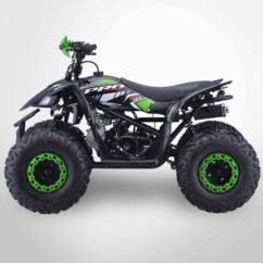 Quad enfant 125cc PROBIKE - Image 6