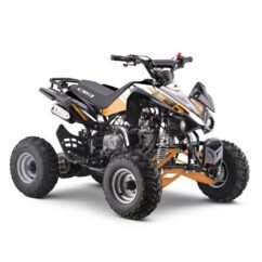 Quad 125cc enfant LBQ Panthera – Image 10